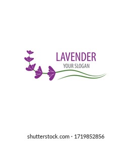 Fresh Lavender flower logo vector flat design