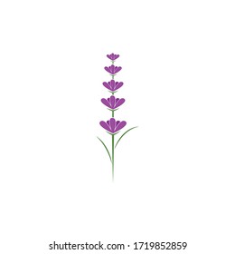 Diseño plano vectorial del logotipo de la flor de lavanda fresca
