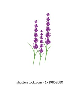 5,121 Lavender flower logo Images, Stock Photos & Vectors | Shutterstock