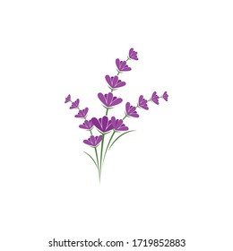 Fresh Lavender flower logo vector flat design