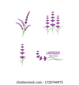 Fresh Lavender flower logo vector flat design