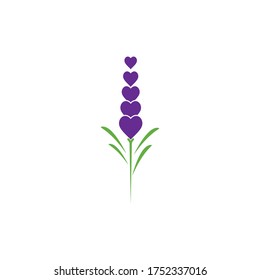 Fresh Lavender flower logo vector flat design