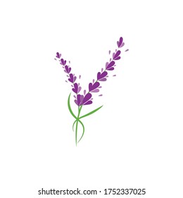 Fresh Lavender flower logo vector flat design