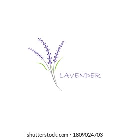 Fresh Lavender flower logo vector flat design