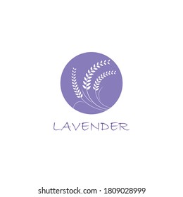 Fresh Lavender flower logo vector flat design