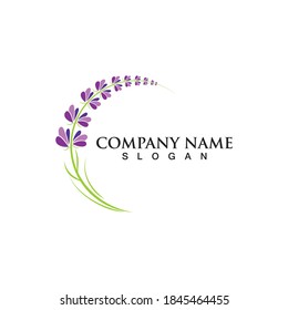 Fresh Lavender flower logo vector flat design