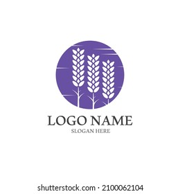 Fresh Lavender flower logo vector flat design
