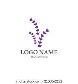 Fresh Lavender flower logo vector flat design