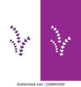 Fresh Lavender flower logo vector flat design