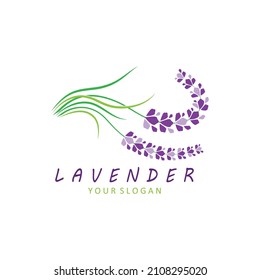 
Frische Lavendel-Logo, Vektorgrafik-Design

