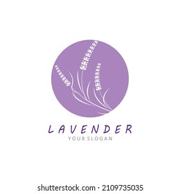 
Fresh Lavender flower logo vector flat design

