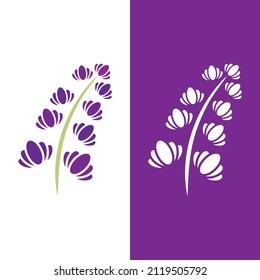 Fresh Lavender flower logo vector flat design