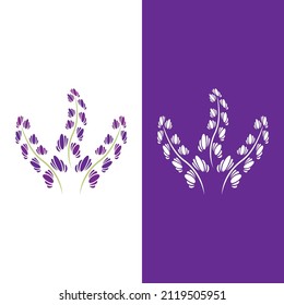 Fresh Lavender flower logo vector flat design