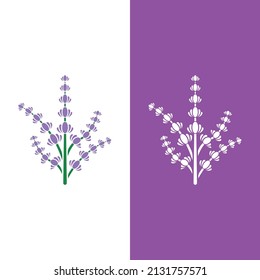 Fresh Lavender flower logo vector flat design