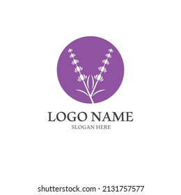 Fresh Lavender flower logo vector flat design