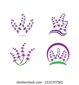 Fresh Lavender flower logo vector flat design