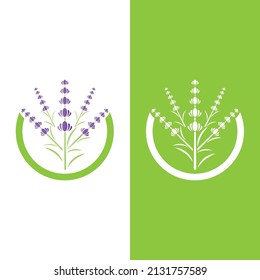 Fresh Lavender flower logo vector flat design