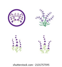 Fresh Lavender flower logo vector flat design
