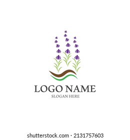 Fresh Lavender flower logo vector flat design