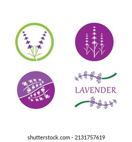 Fresh Lavender flower logo vector flat design