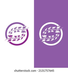 Fresh Lavender flower logo vector flat design