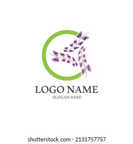 Fresh Lavender flower logo vector flat design