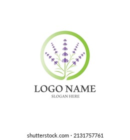 Fresh Lavender flower logo vector flat design