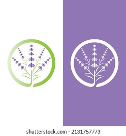 Fresh Lavender flower logo vector flat design