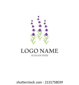 Fresh Lavender flower logo vector flat design