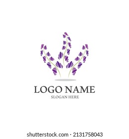 Fresh Lavender flower logo vector flat design
