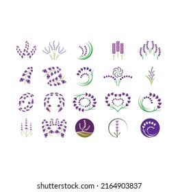 Fresh Lavender flower logo vector flat design