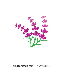 Diseño plano vectorial del logotipo de la flor de lavanda fresca