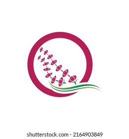 Fresh Lavender flower logo vector flat design