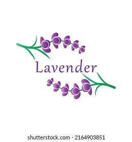 Diseño plano vectorial del logotipo de la flor de lavanda fresca