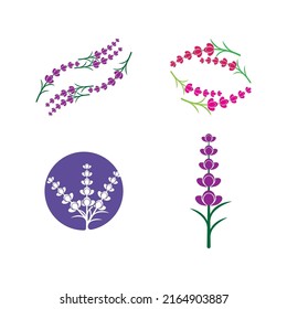 Fresh Lavender flower logo vector flat design