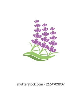 Frische Lavendel-Logo, Vektorgrafik-Design