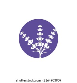Diseño plano vectorial del logotipo de la flor de lavanda fresca