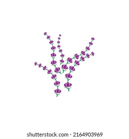 Fresh Lavender flower logo vector flat design
