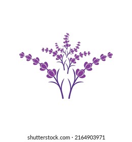 Fresh Lavender flower logo vector flat design