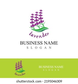 Fresh lavender flower logo vector flat design