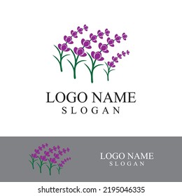 Fresh lavender flower logo vector flat design