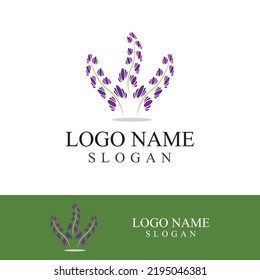 Fresh lavender flower logo vector flat design