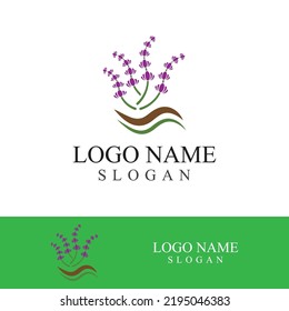 Fresh lavender flower logo vector flat design
