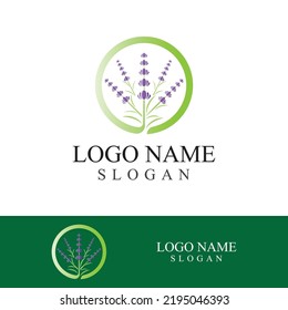 Fresh lavender flower logo vector flat design