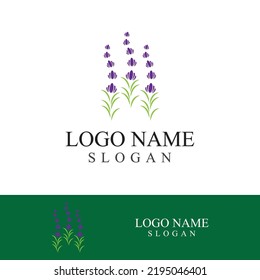 Diseño plano del logotipo de la flor lavanda fresca