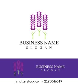 Fresh lavender flower logo vector flat design