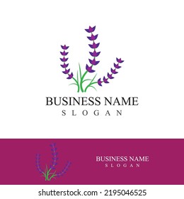 Fresh lavender flower logo vector flat design