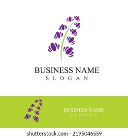 Diseño plano del logotipo de la flor lavanda fresca