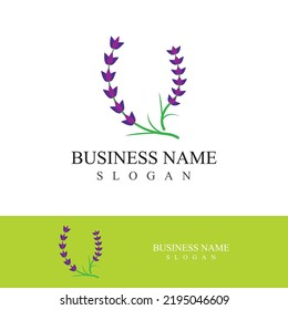 Fresh lavender flower logo vector flat design