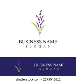 Fresh lavender flower logo vector flat design